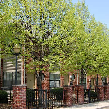 Ohio Street Townhomes 1052 E Ohio St Indianapolis In Apartments For Rent Rent Com