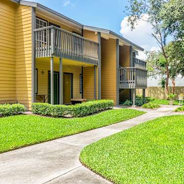 Pine Tree 3706 W Idlewild Avenue Tampa Fl Apartments For