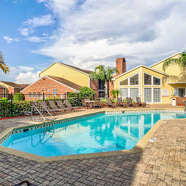 Meridian 8501 N 50th St Tampa Fl Apartments For Rent Rent Com