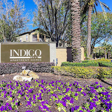 Indigo West 6101 Raleigh Street Orlando Fl Apartments For
