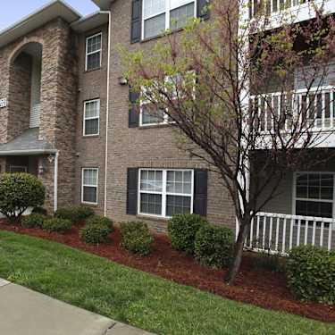 Spartan Crossing Leased By The Bed 704 1b Granite Street Greensboro Nc Apartments For Rent Rent Com