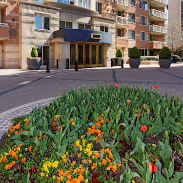 Aura Pentagon City 1221 S Eads St Arlington Va Apartments For Rent Rent Com