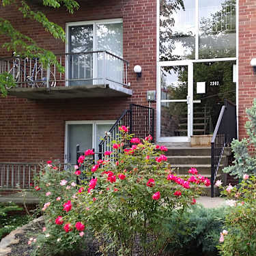 Bellevue House 2312 Ohio Ave Cincinnati Oh Apartments For Rent Rent Com