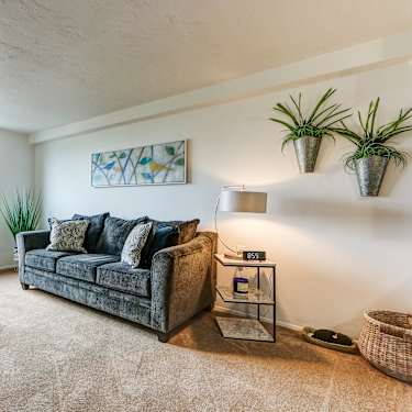 River Towers Senior Apartments 7800 E Jefferson Ave Detroit Mi Apartments For Rent Rent Com