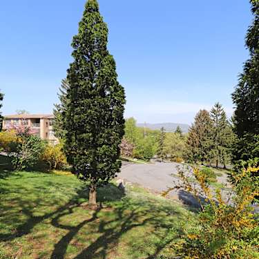 Mountain Lake 105 Skytop Manor Scranton Pa Apartments For