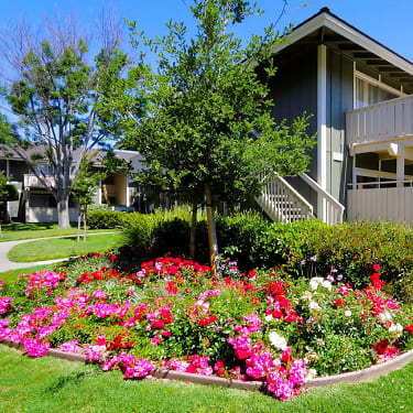Windsor Garden 4425 Bidwell Drive Fremont Ca Apartments For