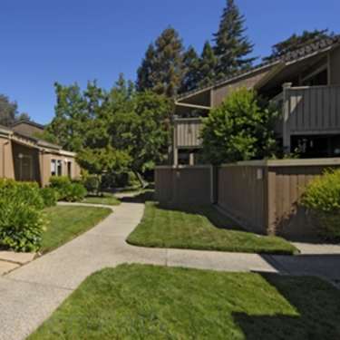 Spring Meadow Apartments 150 Cleveland Road Pleasant Hill Ca Apartments For Rent Rent Com