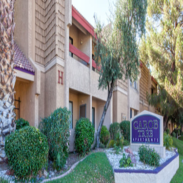 Carob Tree 9202 N 19th Ave Phoenix Az Apartments For Rent Rent Com