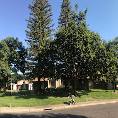 Eastwood Court Apartments 2770 Eaton Rd Chico Ca Apartments
