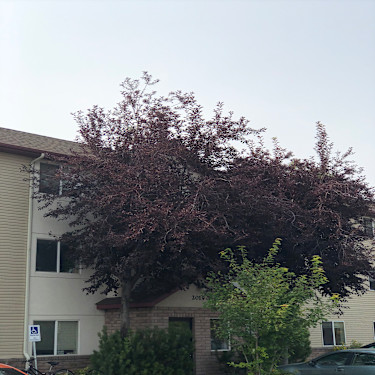 Brookside Park Apartments 2019 2109 2123 W College St Bozeman