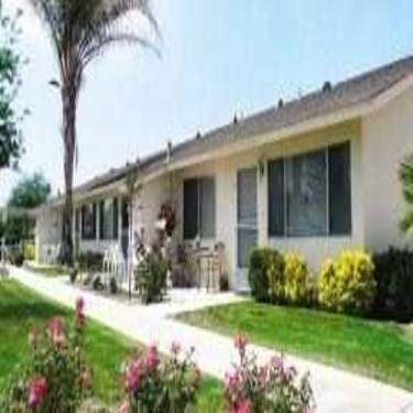 Catalina Gardens 1750 Mundo Drive Hemet Ca Apartments For Rent Rent Com