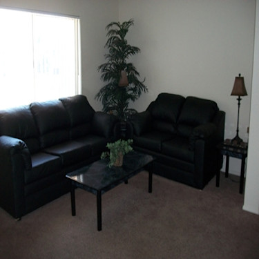 Cactus Trail Apartments 2403 W Lone Cactus Dr Phoenix Az Apartments For Rent Rent Com