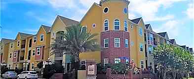 Ybor Apartments For Rent Tampa Fl Apartments Com