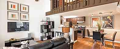 Apartments For Rent Rent Com Homes For Rent