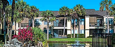 Apartments For Rent Rent Com Homes For Rent
