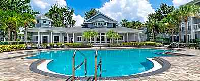 Apartments For Rent Rent Com Homes For Rent