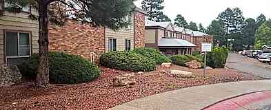 Apartments For Rent Rent Com Homes For Rent