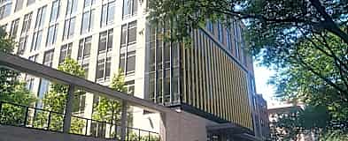 Apartments For Rent Rent Com Homes For Rent