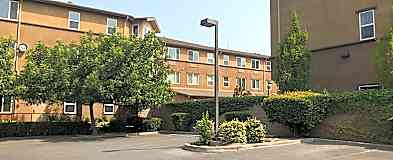 Apartments For Rent Rent Com Homes For Rent