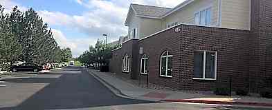 Apartments For Rent Rent Com Homes For Rent
