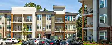 Apartments For Rent Rent Com Homes For Rent