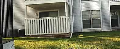 Apartments For Rent Rent Com Homes For Rent