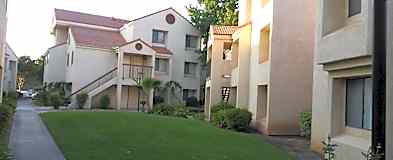 Apartments For Rent Rent Com Homes For Rent