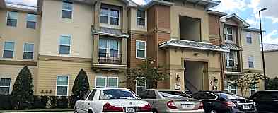 Apartments For Rent Rent Com Homes For Rent