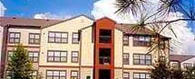 Apartments For Rent Rent Com Homes For Rent
