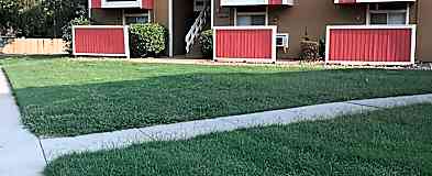 Apartments For Rent Rent Com Homes For Rent