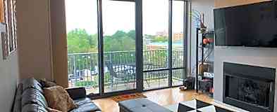 Royal Oak Mi Condos For Rent 83 Condos Rent Com
