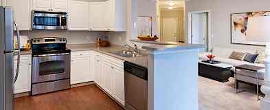 Boston Ma 1 Bedroom Apartments For Rent 591 Apartments Rent Com