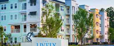 Myrtle Beach Sc Apartments For Rent 69 Apartments Rent Com