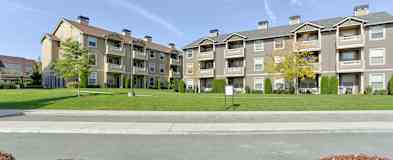 Portland Or Pet Friendly Apartments For Rent 817 Apartments Rent Com