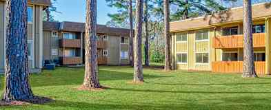 Albany Ga Apartments For Rent 51 Apartments Rent Com