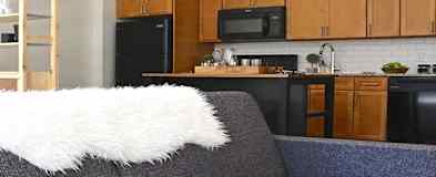 Downtown Bridgeport Apartments For Rent Bridgeport Ct