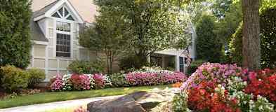 Nashua Nh Furnished Apartments For Rent 26 Apartments Rent Com