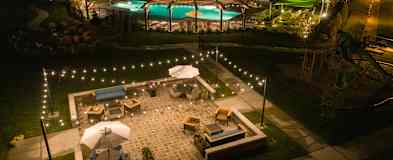 Pet Friendly Apartments For Rent Rent Com