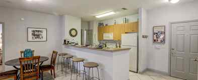 Tampa Fl Cheap Apartments For Rent 549 Apartments Rent Com