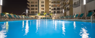 Tampa Fl 1 Bedroom Apartments For Rent 206 Apartments