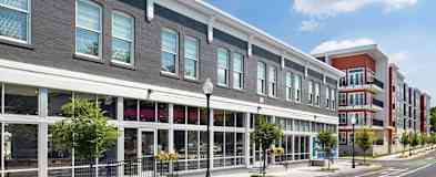 Pet Friendly Apartments For Rent Rent Com