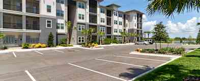 Sarasota Fl Apartments For Rent 30 Apartments Rent Com
