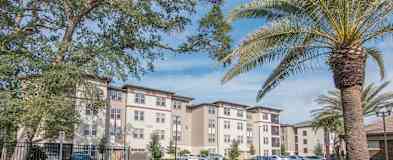 Ocoee Fl Apartments For Rent 256 Apartments Rent Com