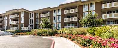 Santa Clara Ca Apartments For Rent 82 Apartments Rent Com