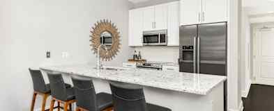 Chicago Il 1 Bedroom Apartments For Rent 834 Apartments Rent Com