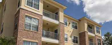Dallas Tx 1 Bedroom Apartments For Rent 735 Apartments Rent Com