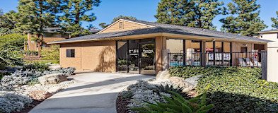 Winter Gardens Ca Apartments For Rent 196 Apartments Rent Com
