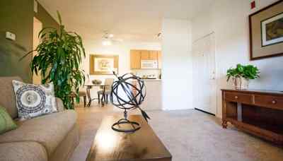 Houses For Rent In Temecula Ca Rentals Com