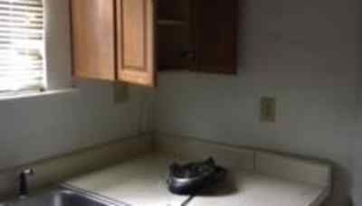 Houses For Rent In Putney Ga Rentals Com