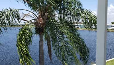 Condos Townhouses For Rent In Boynton Beach Fl Rentals Com